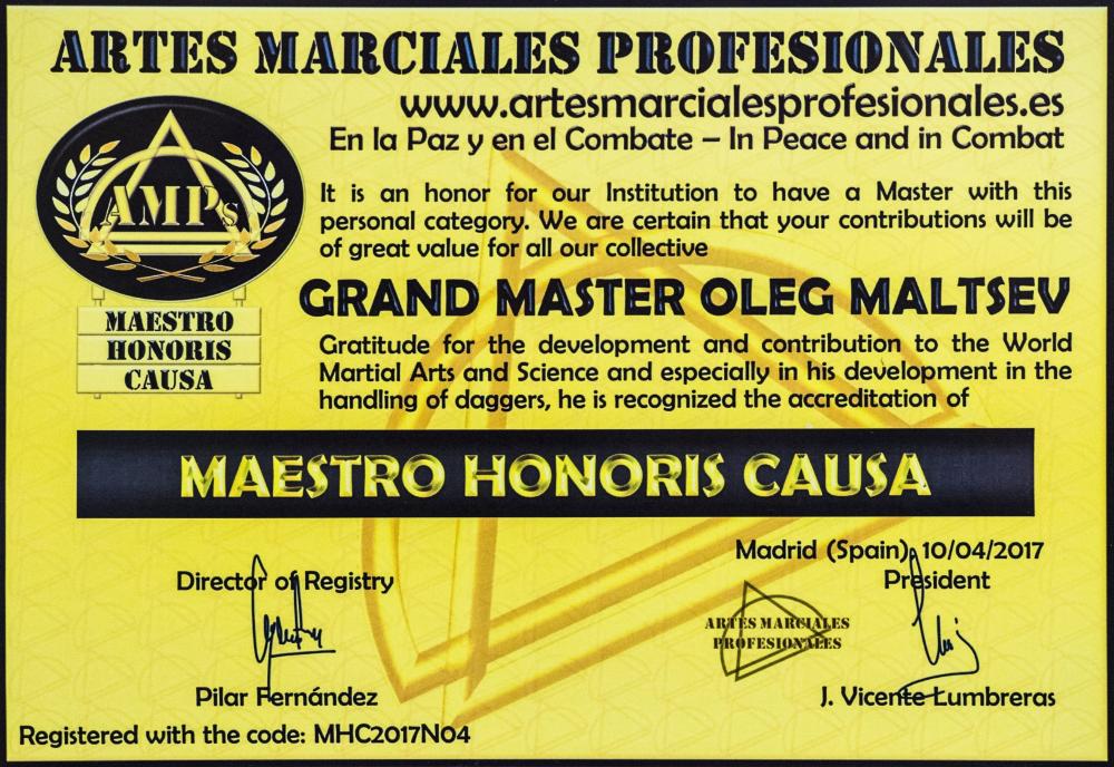 Сертификат за заслуги в развитии боевых искусств. Мальцев Олег